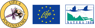 LIFE 4 Pollinators - Involving people to protect wild bees and other pollinators in the Mediterranean